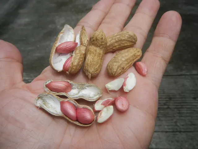 Groundnut Shells