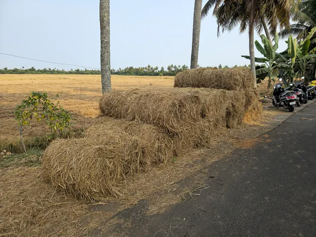 Other Agri Residues