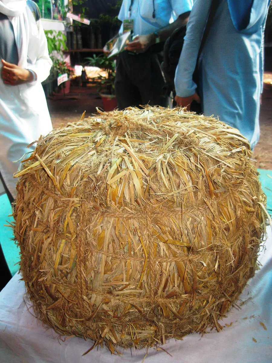 Paddy straw bale