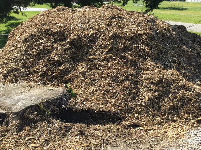 Wood Chips