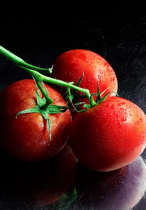 Horticulture crop