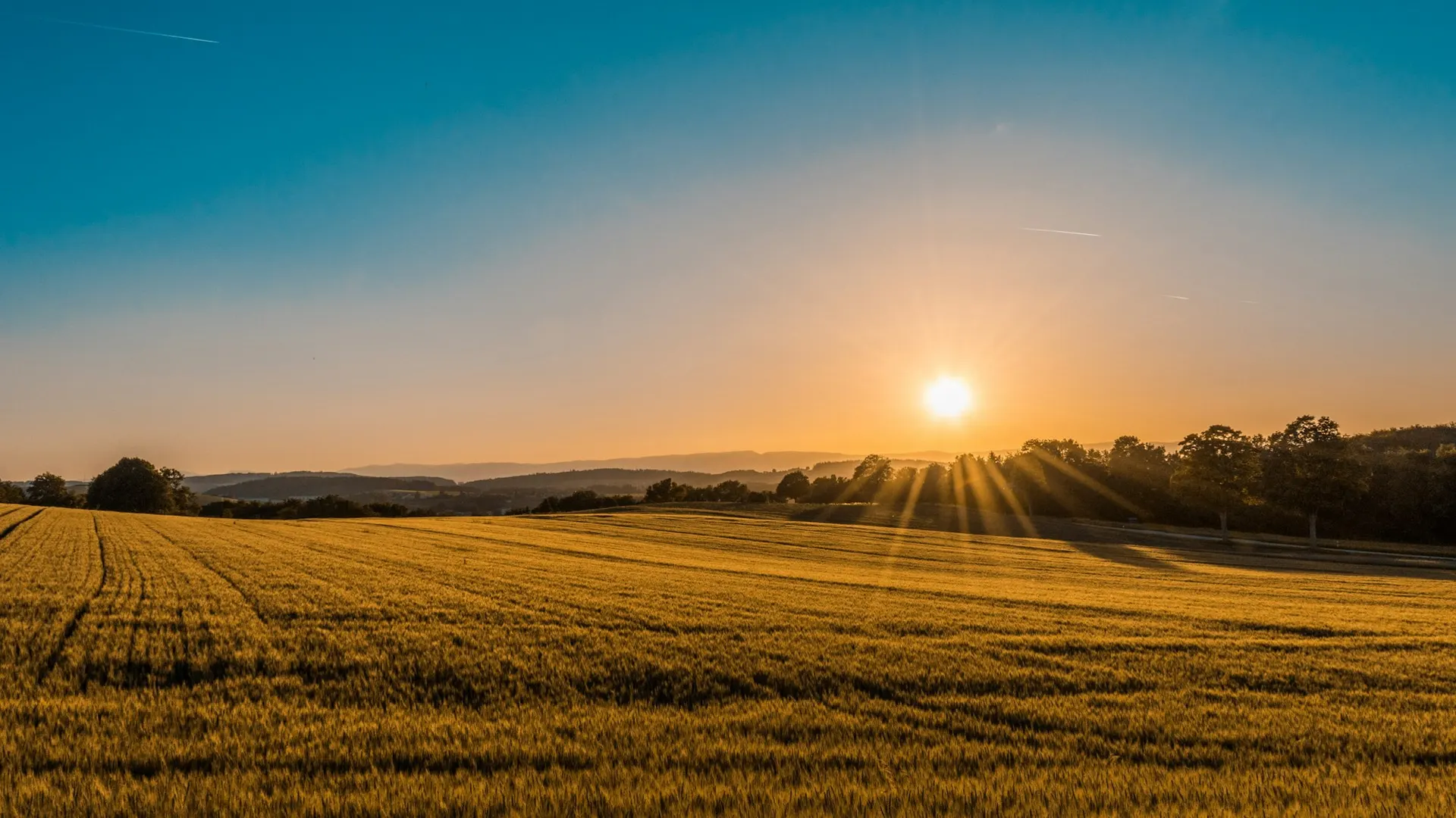 Farm field at sunrise